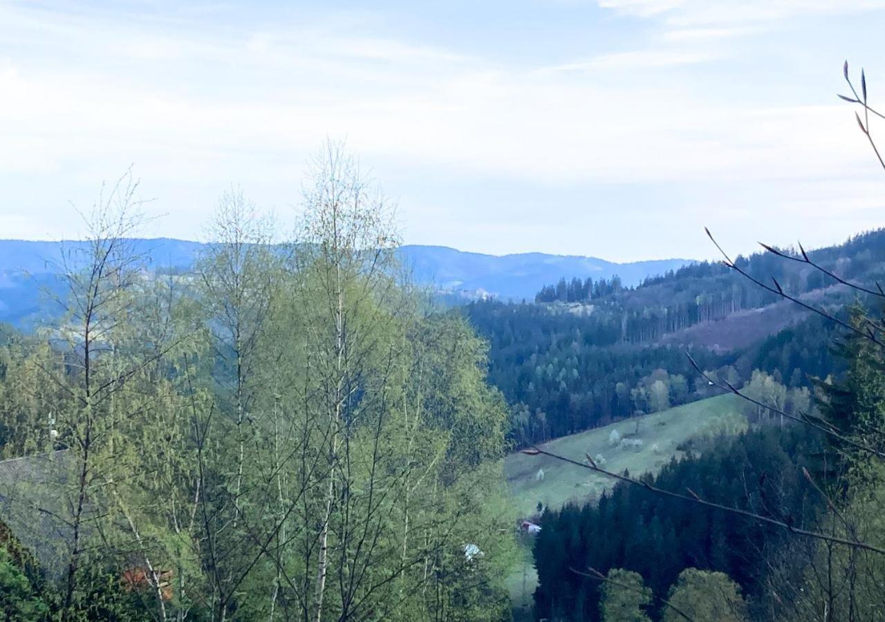 Apartman Na Valassku Horní Bečva Dış mekan fotoğraf